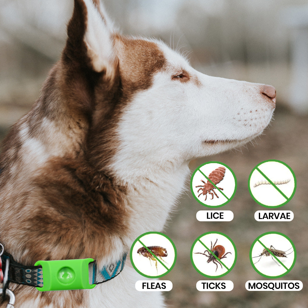 FluffGuard - 12 Months Bug Free Collar