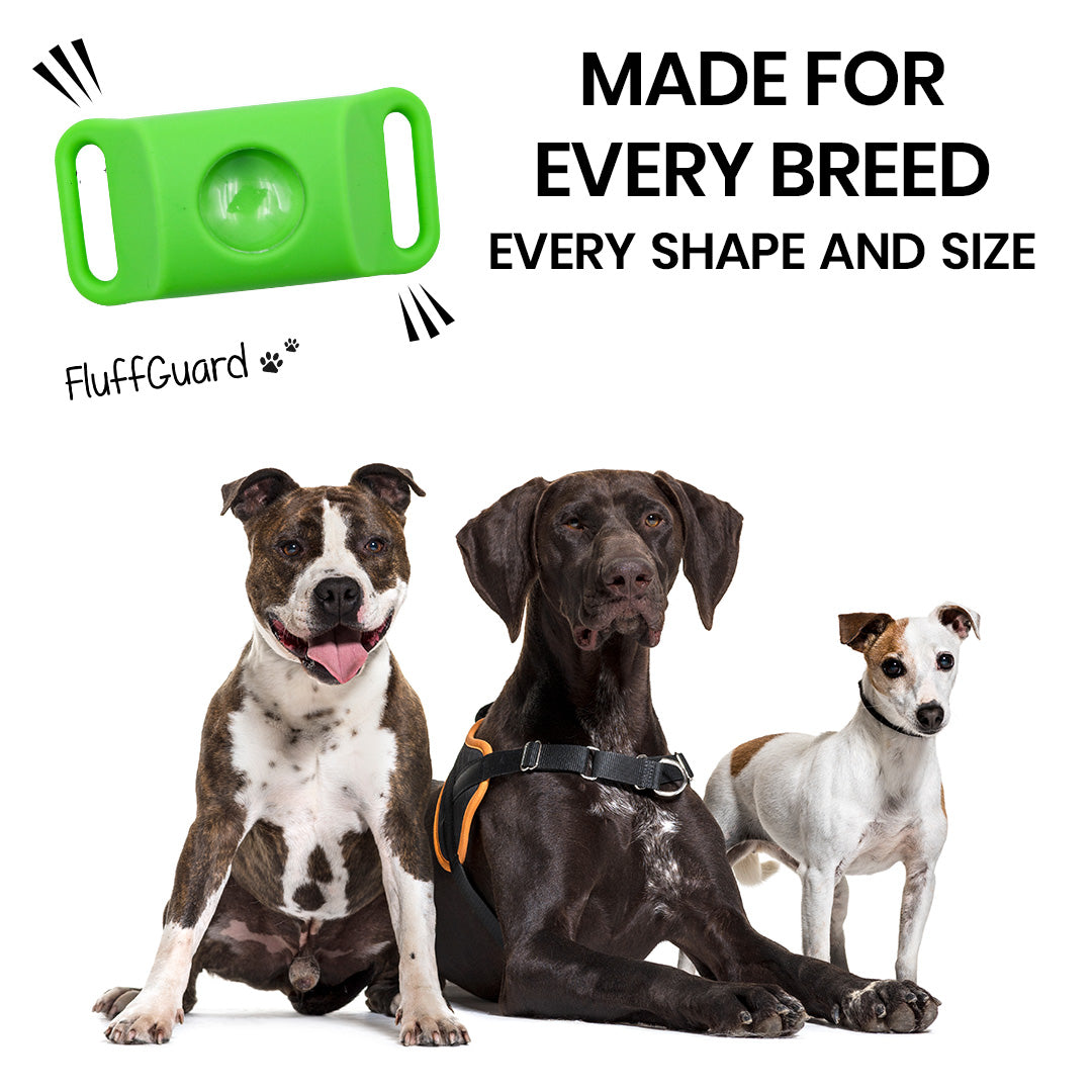 FluffGuard - 12 Months Bug Free Collar – Fluff Guard