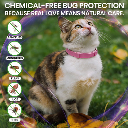 FluffGuard - 8 Months Bug Free Collar for Cats
