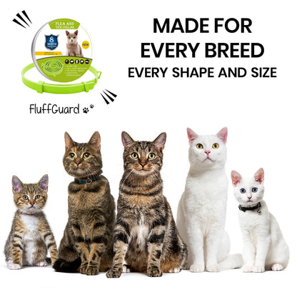 FluffGuard - 8 Months Bug Free Collar for Cats