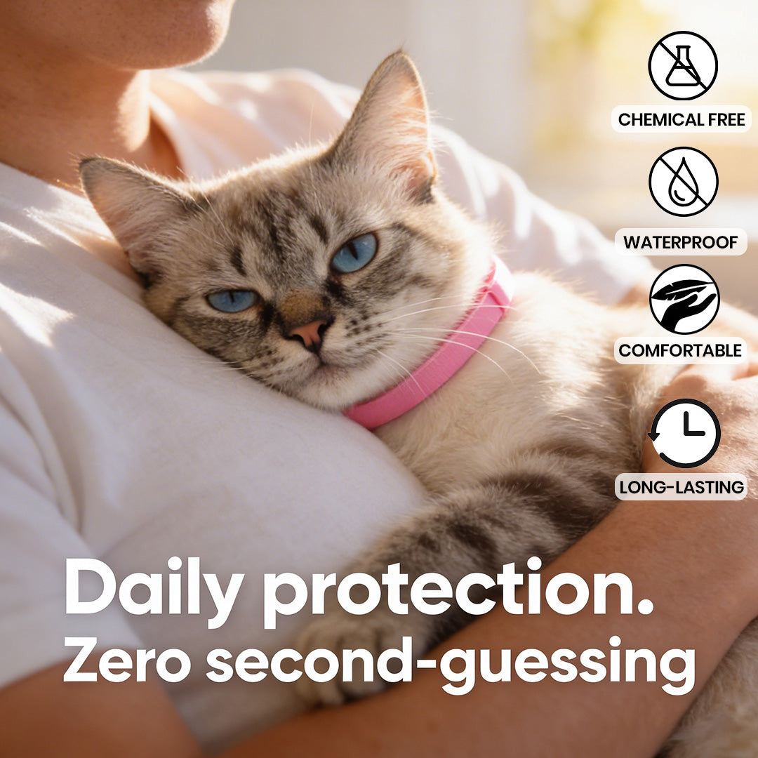 FluffGuard - 8 Months Bug Free Collar for Cats