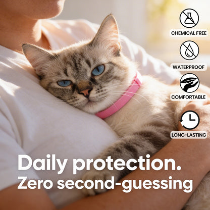 FluffGuard - 8 Months Bug Free Collar for Cats