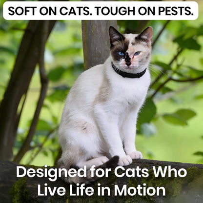 FluffGuard - 8 Months Bug Free Collar for Cats
