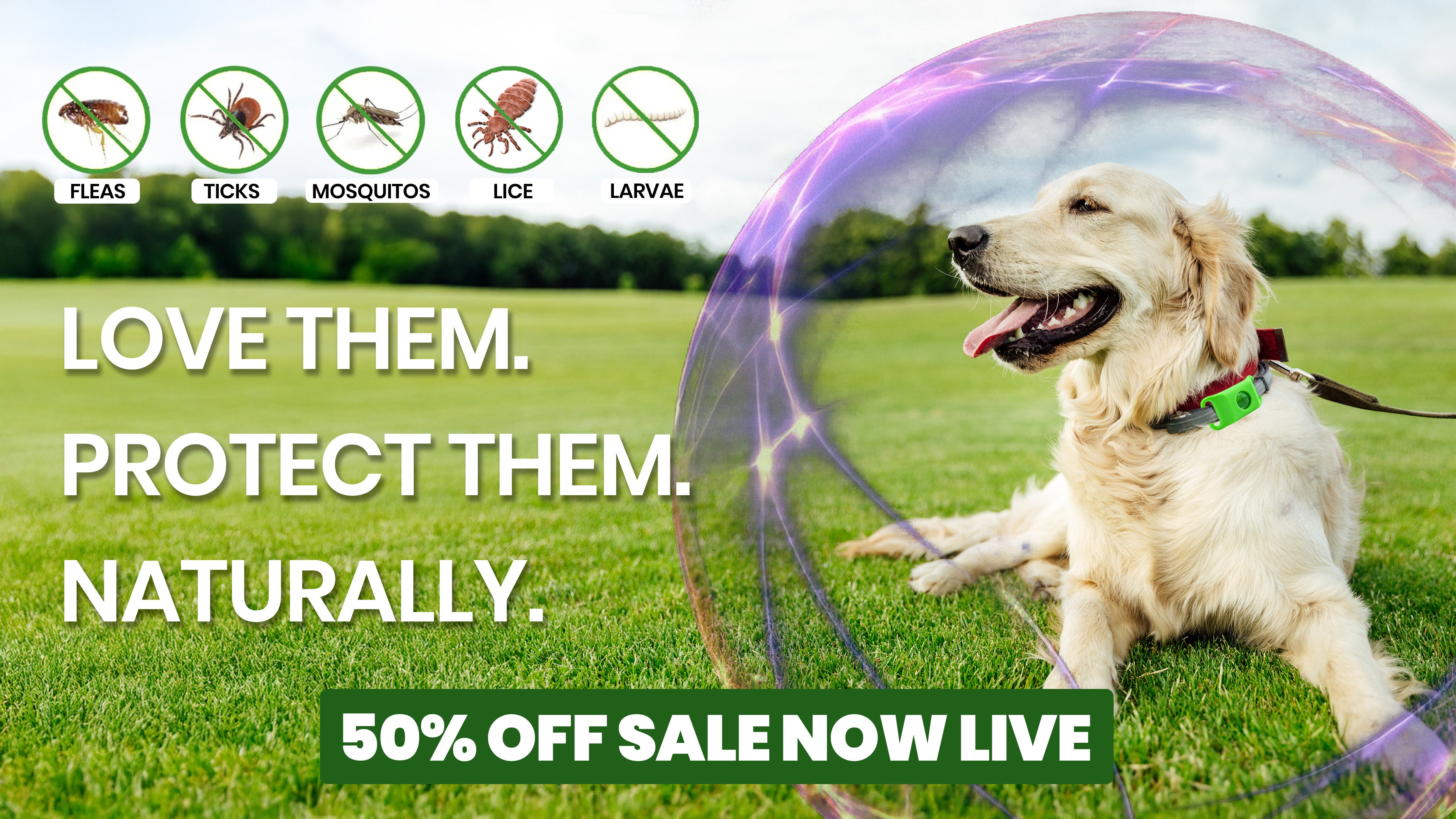 FluffGuard – Fluff Guard