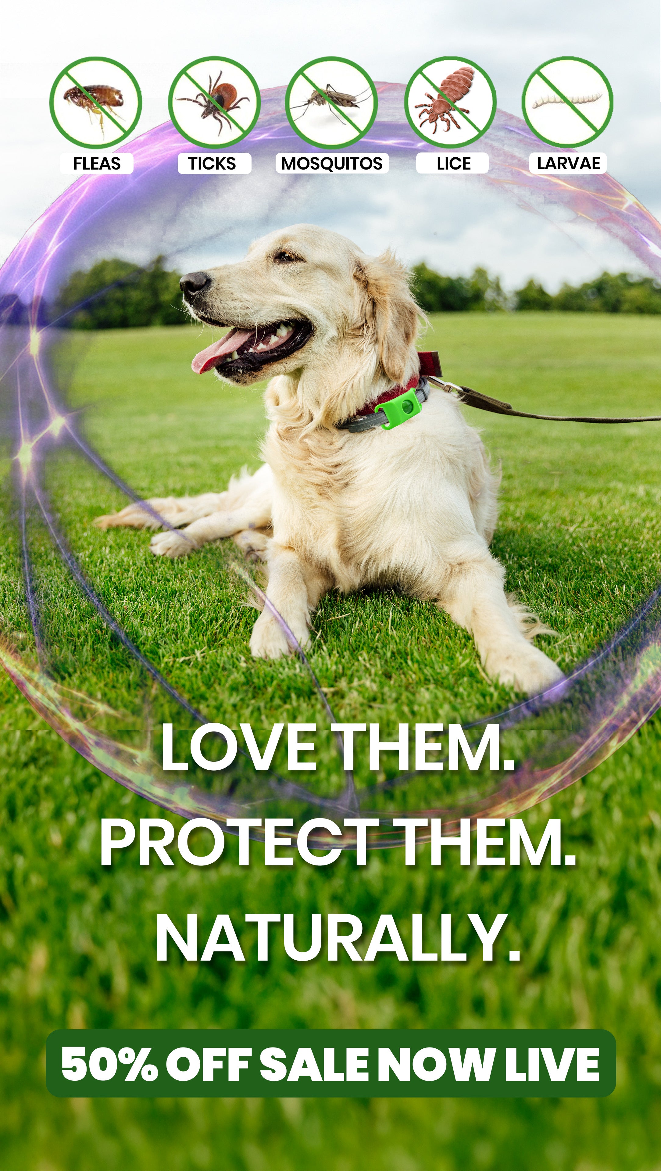 FluffGuard – Fluff Guard